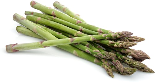 Asparagus Imported UC 157 Seeds