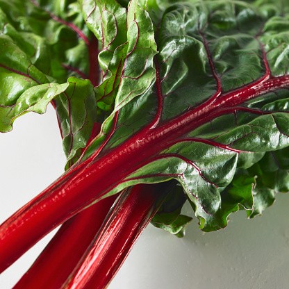 Swiss Chard imported red seeds
