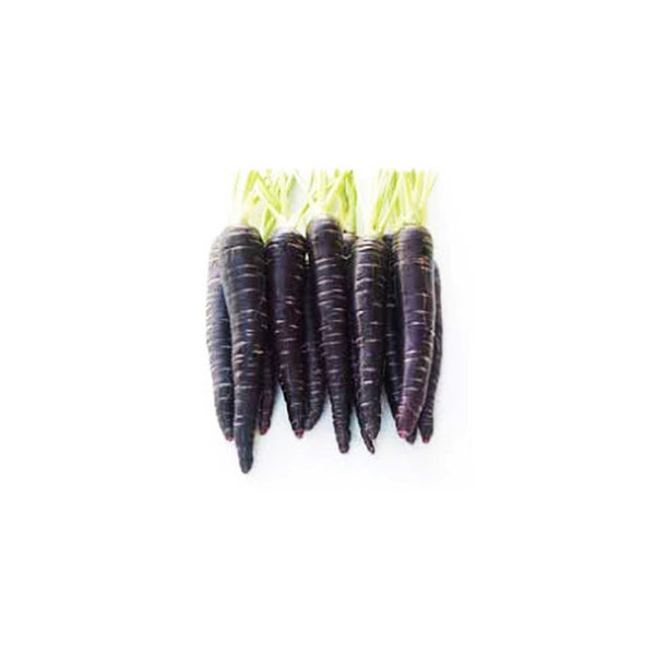 Carrot Black Wonder Seeds