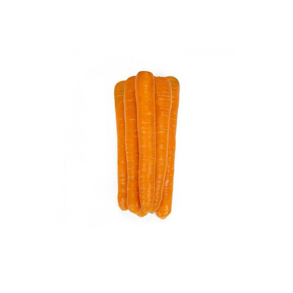 Carrot Early  Nantes Seeds