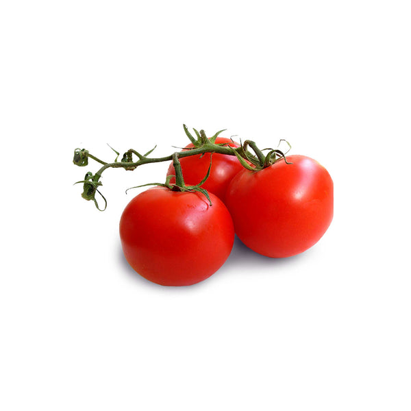 F1 Hybrid Tomato Sachriya seeds