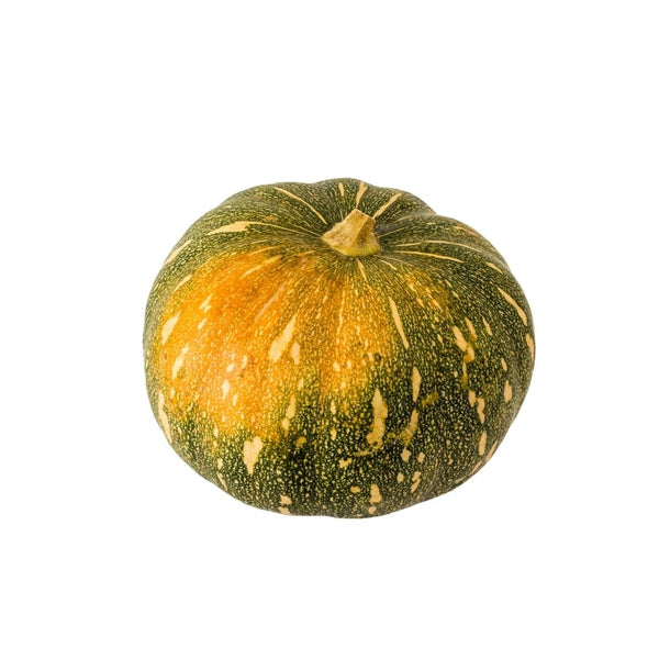 F1 Hybrid Pumpkin Beema Seeds