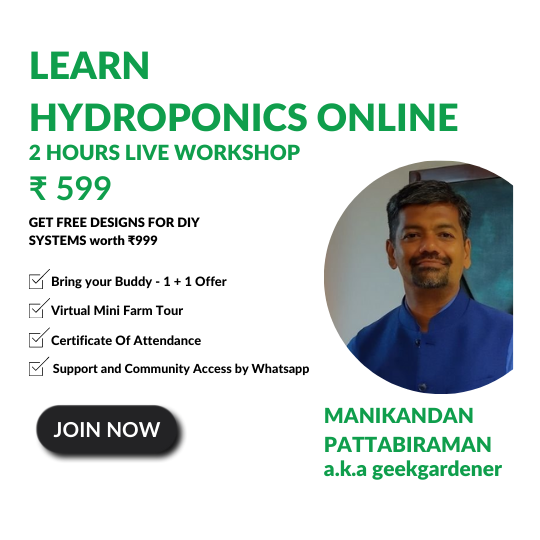 Learn Hydroponics - 2 Hour Live Online Workshop