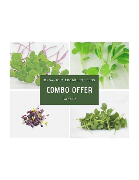 Microgreen Seeds - Combo Pack-A