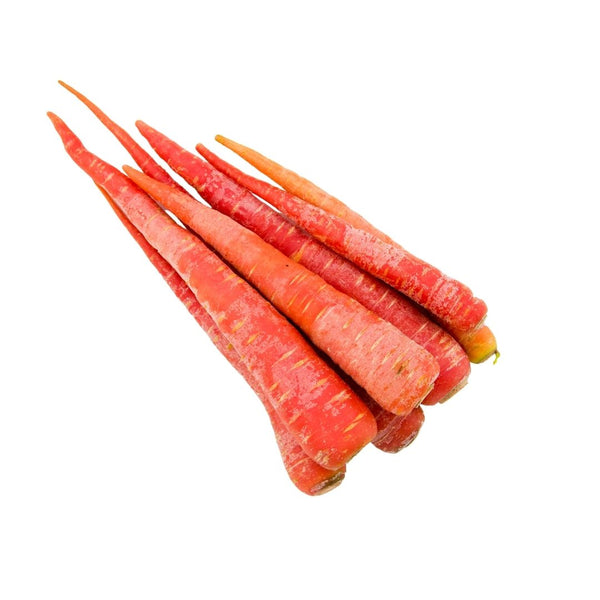 Selection Red Carrot Seeds