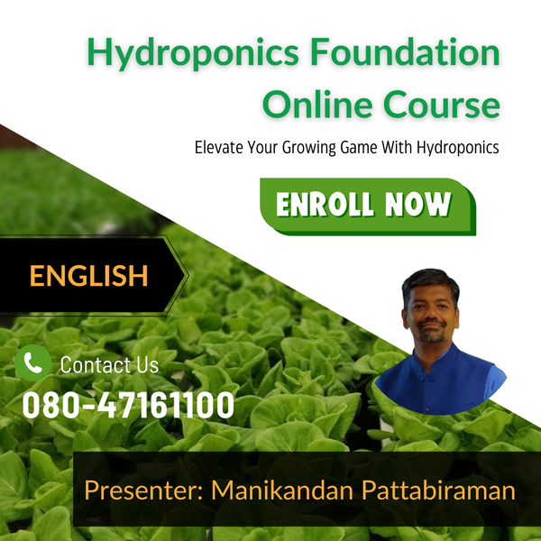 Hydroponics Foundation Online Course