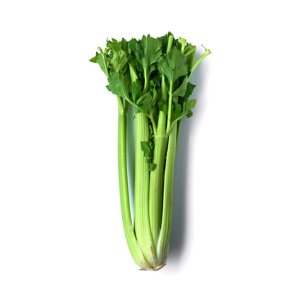 Celery Imported Seeds