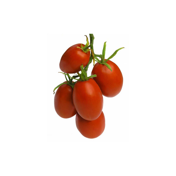 UC 82 Tomato Seeds