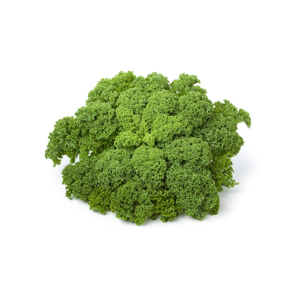 Kale Brassica Oleracea Seeds