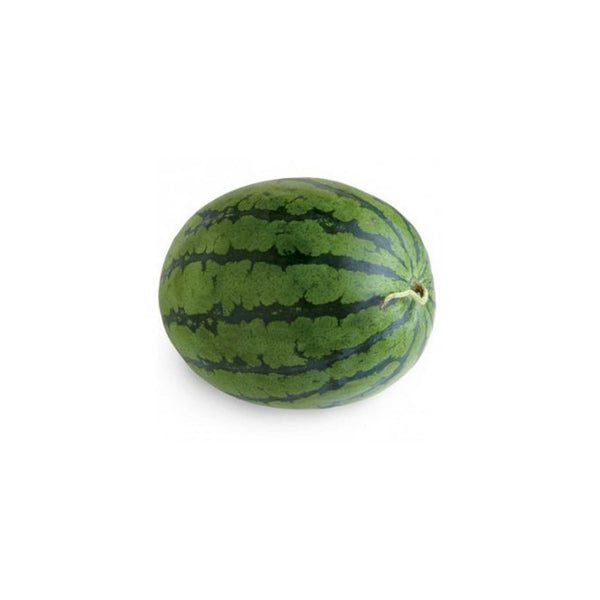 Water melon Aalam Daksh 55