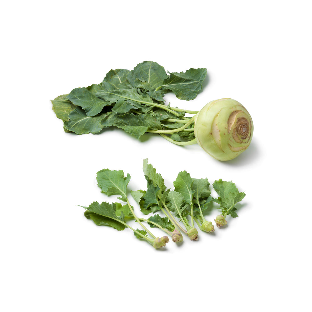Sem Knol F1 Hybrid Knol Khol – GardenGuru