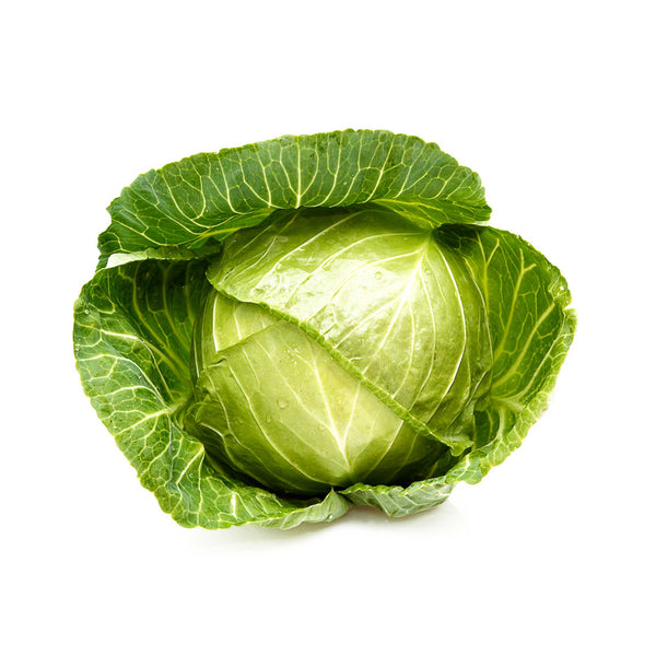 Cabbage deep Shikha