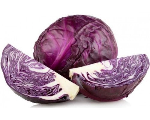 Red cabbage imported Seeds