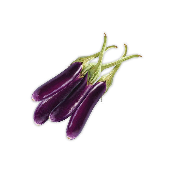 F1 Brinjal Purple long seeds