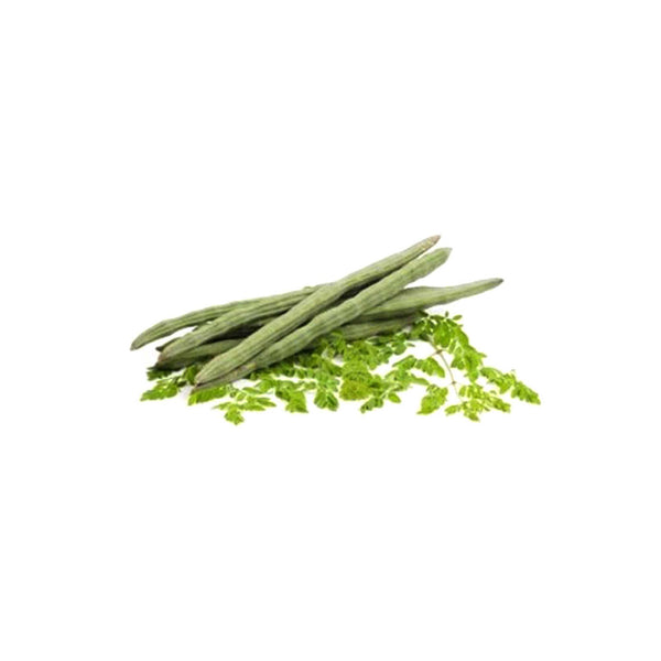 Moringa oleifera Drumstick rama PK -115 Seeds