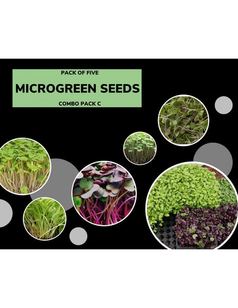 Microgreen Seeds-Combo Pack-C