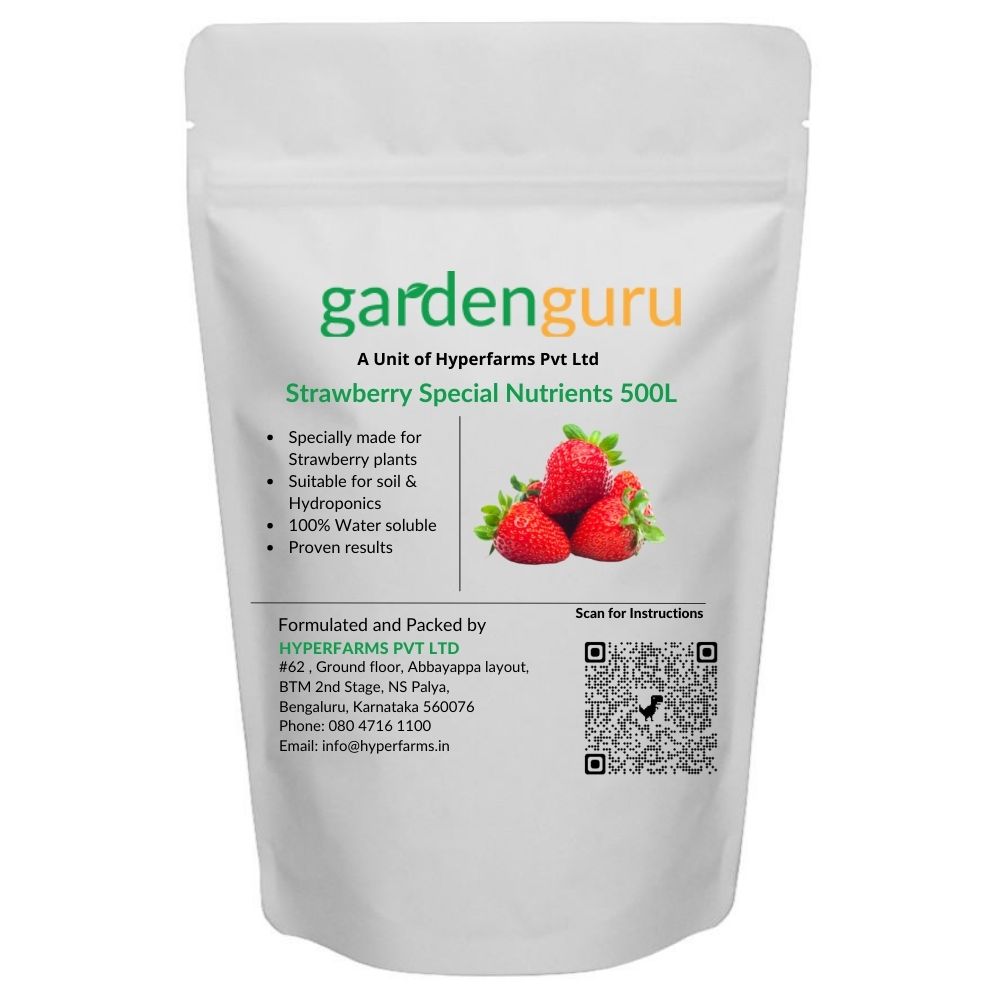 strawberry plants fertilizer Strawberry Special Mix