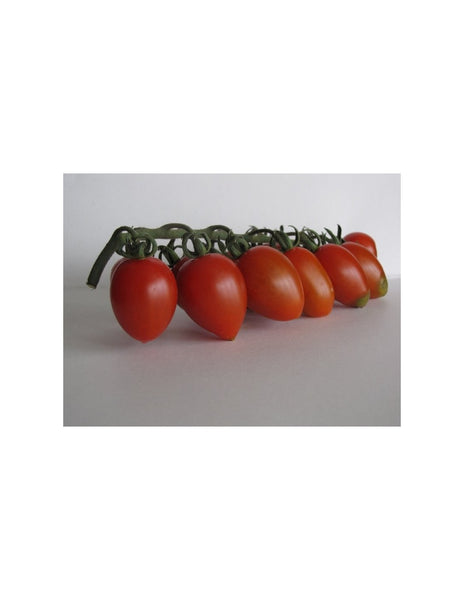 Tomato Special Mix - 500 liters